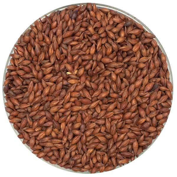 Light Roasted Barley - Briess