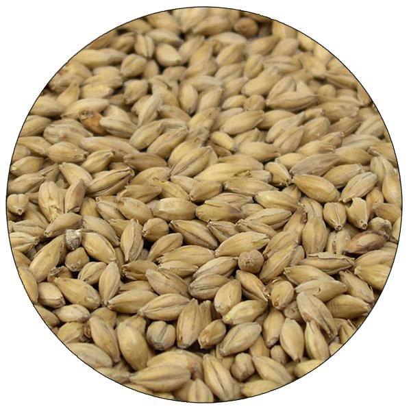 English Maris Otter Malt - Simpsons