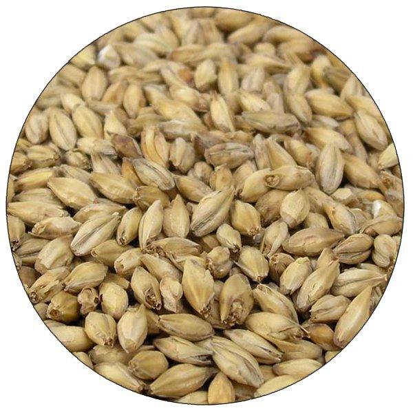 2-Row Brewers Malt - Briess