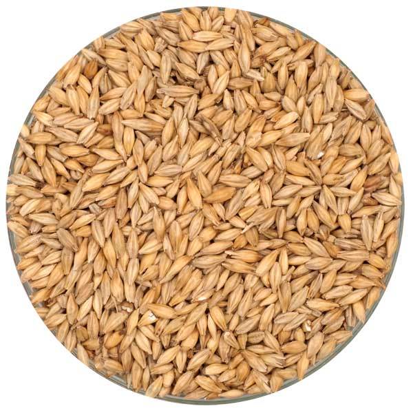 German Carafoam Malt - Weyermann®