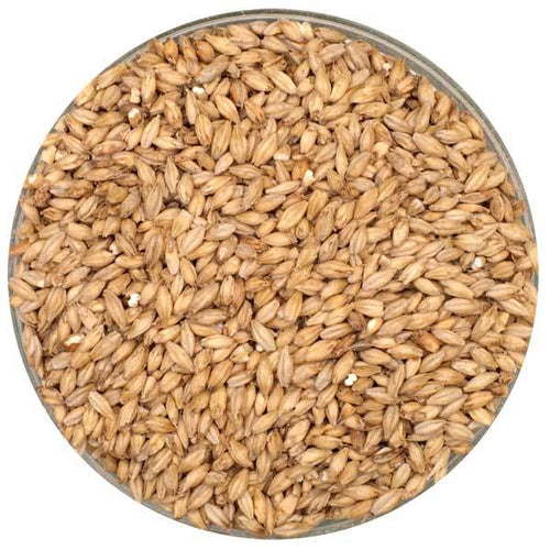 English Pale Malt - Crisp