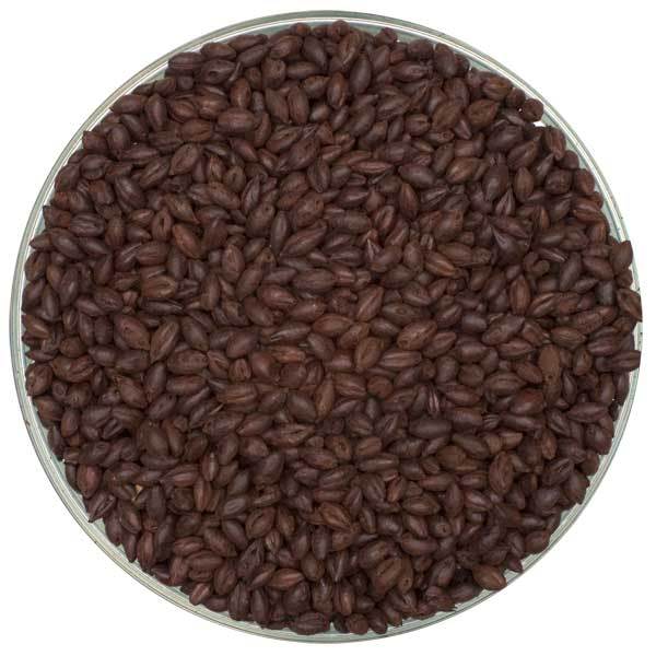 Black (Patent) Malt - Briess