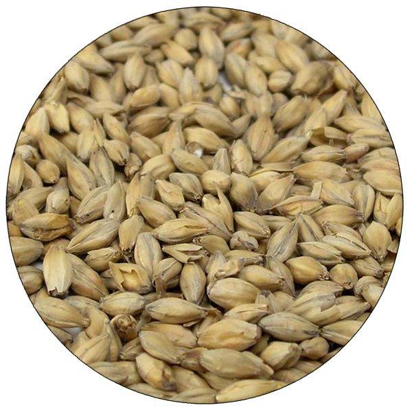 Golden Promise Malt