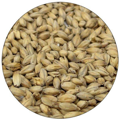 Golden Promise Malt