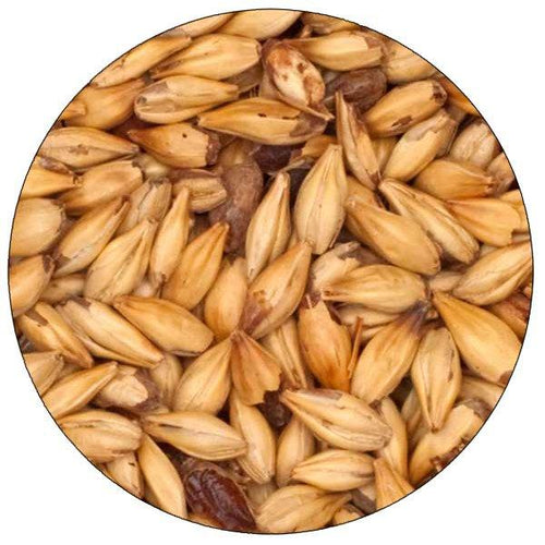 Caramel Vienne 20L Malt - Briess